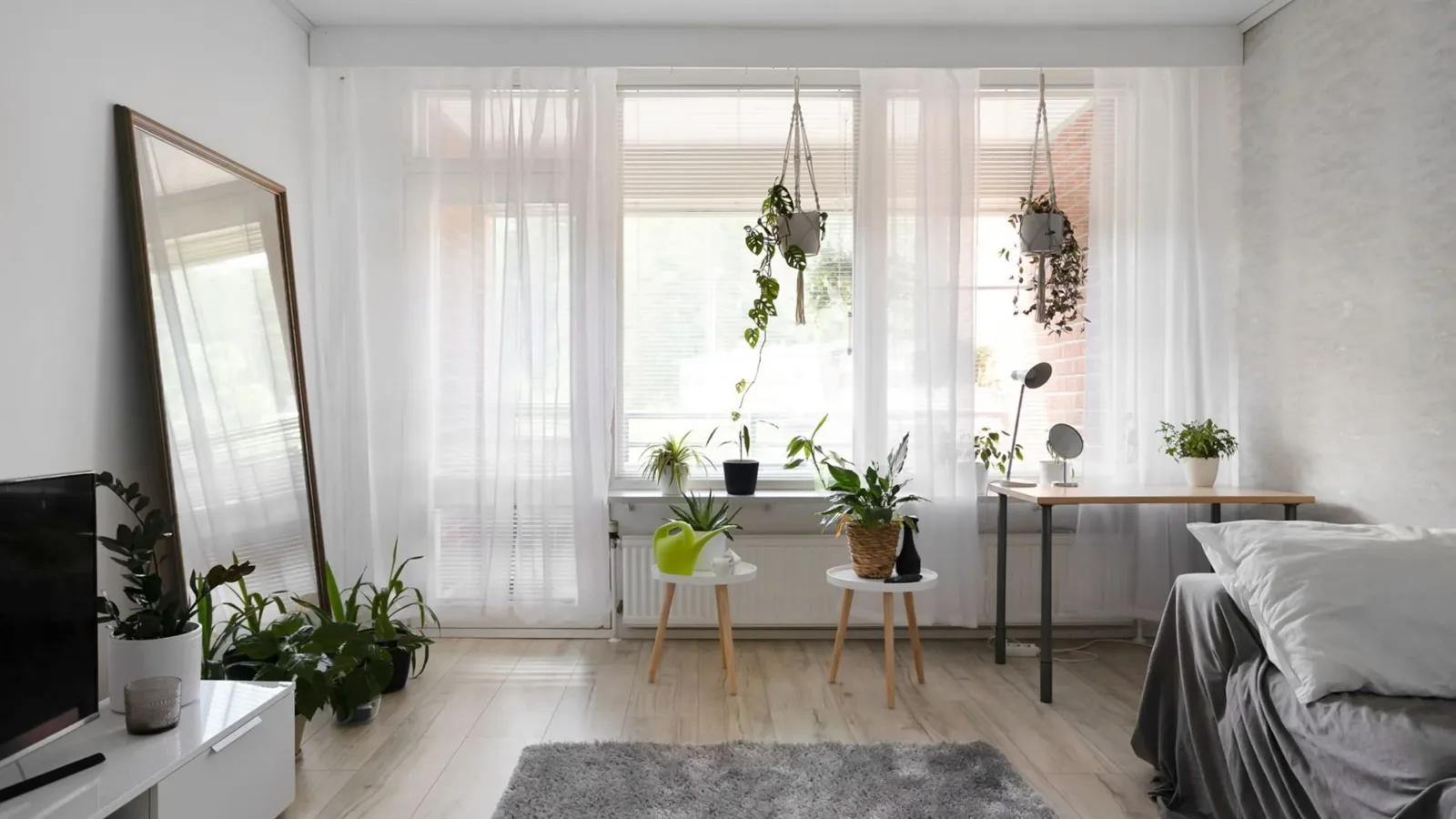 A bright, minimalist apartment interior featuring stylish decor and lush houseplants.